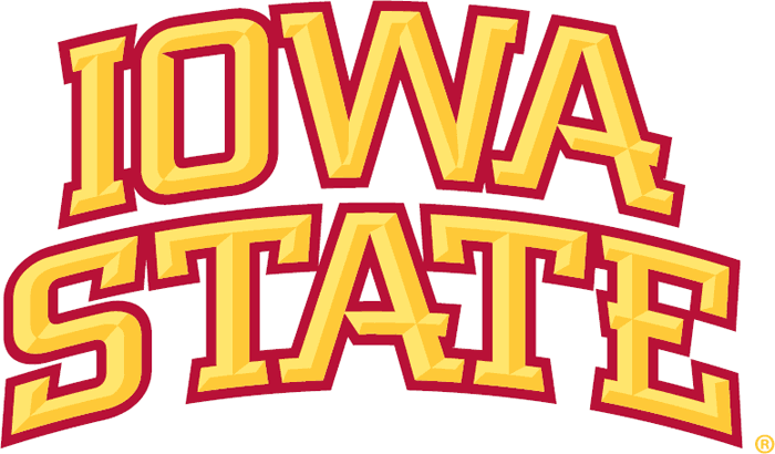 Iowa State Cyclones 2007-Pres Wordmark Logo diy iron on heat transfer...